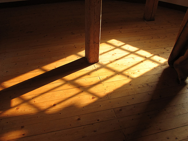 Warm hardwood floor with sunlight.